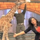 Is Rachael Ray's Talk Show One Giant 'That's What She Said'?